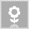 Логотип организации (Доставка тюльпанов в Нахабино) в Телефонном справочнике Красногорска.